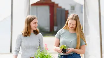 To biologi-studenter ser på en plante 