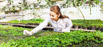 Kvinne som jobber med planter i et drivhus