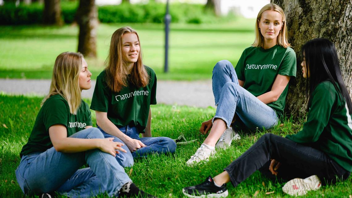 Studenter i en park som snakker sammen
